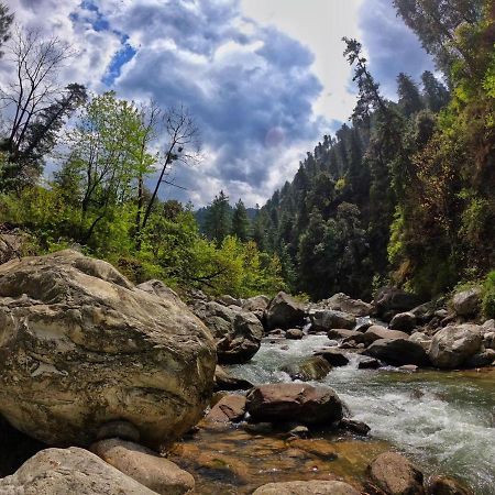 Tirthan Anglers' Retreat Banjar Экстерьер фото