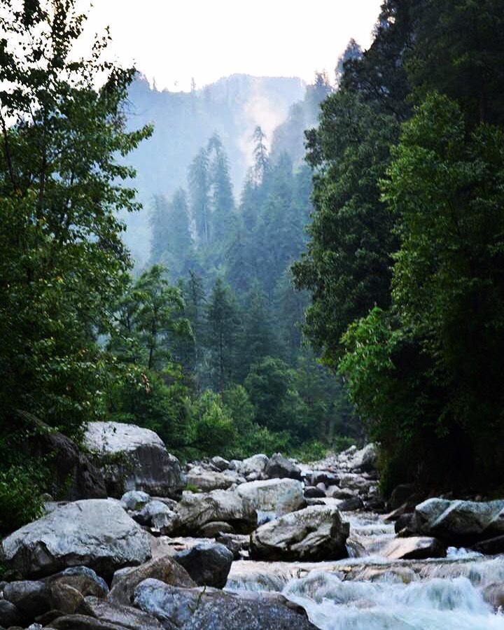Tirthan Anglers' Retreat Banjar Экстерьер фото