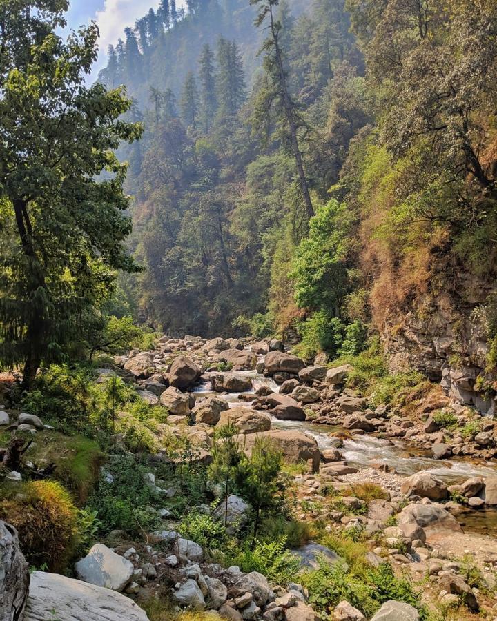 Tirthan Anglers' Retreat Banjar Экстерьер фото